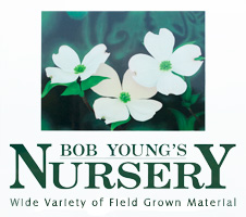 Bob Youngs Logo